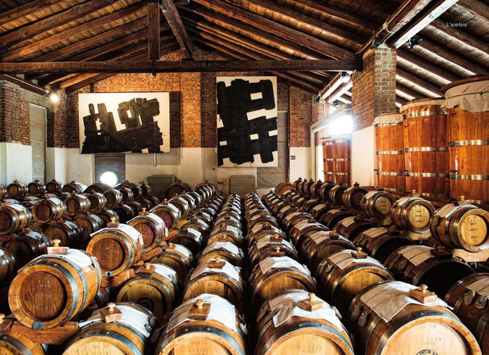 Balsamico: A Drop of Magic in Your Kitchen (Gloria Midolini)
