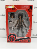 Hasbro Marvel Legends Marvel’s Domino