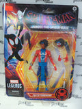 Hasbro Marvel Legends Series Pavitr Prabhakar