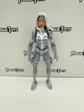 Hasbro Marvel Legends Spider-Man Silver Sable
