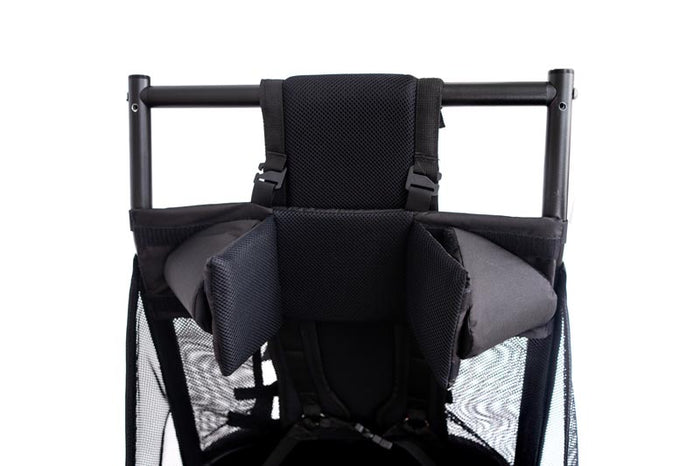 Head Support