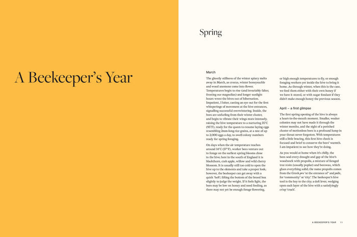 Honey: Recipes From a Beekeeper's Kitchen (Amy Newsome)