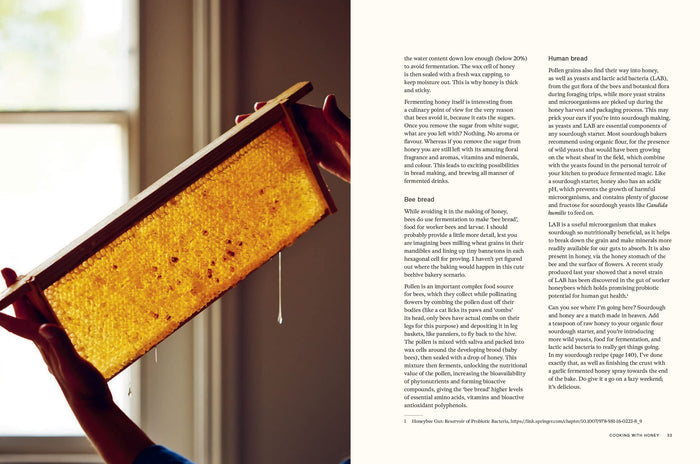 Honey: Recipes From a Beekeeper's Kitchen (Amy Newsome)