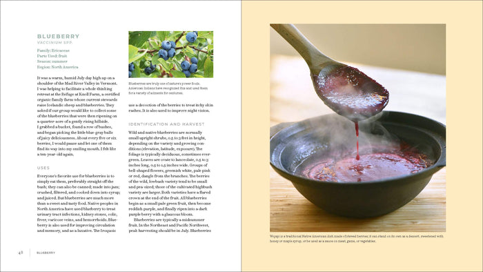 Iwígara: American Indian Ethnobotanical Traditions and Science (Enrique Salmón)