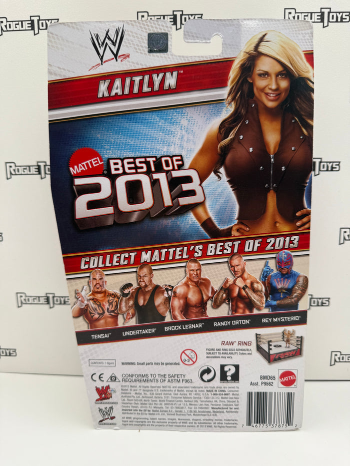 Mattel WWE Basic Best of 2013 Kaitlyn