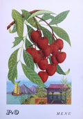 P & O Lines. S.S. Canberra Dinner Menu - Litchi