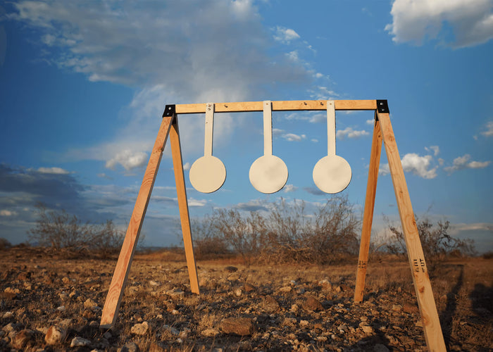 (3) 6-Inch Gongs