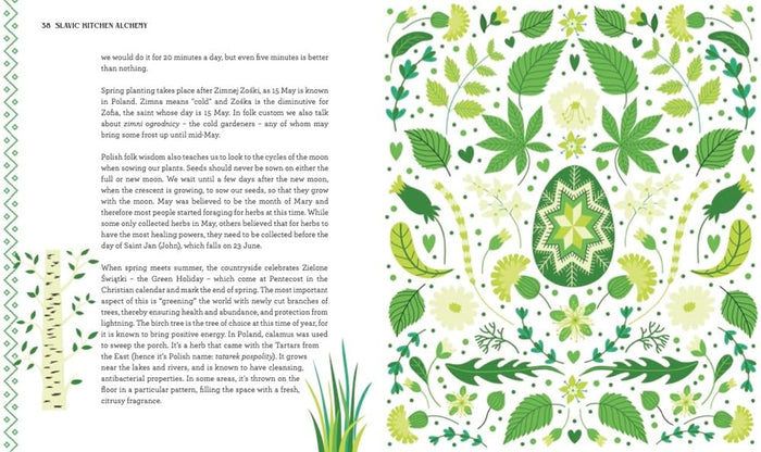 Slavic Kitchen Alchemy: Nourishing Herbal Remedies, Magical Recipes & Folk Wisdom (Zuza Zak)