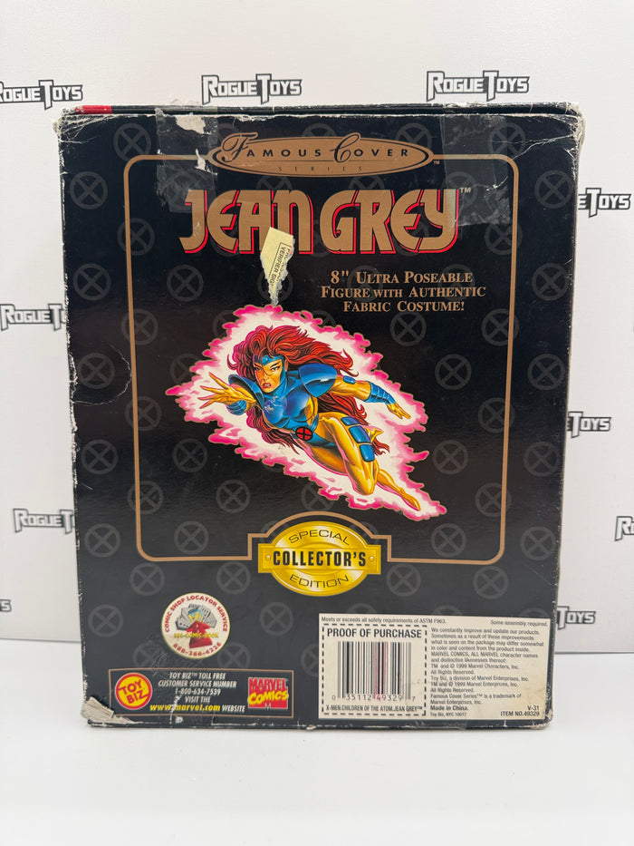 ToyBiz Marvel Comics Famous Lover Series Jean Grey