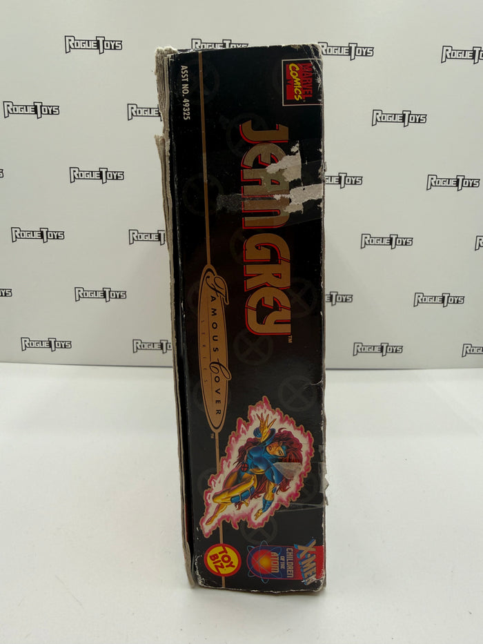 ToyBiz Marvel Comics Famous Lover Series Jean Grey