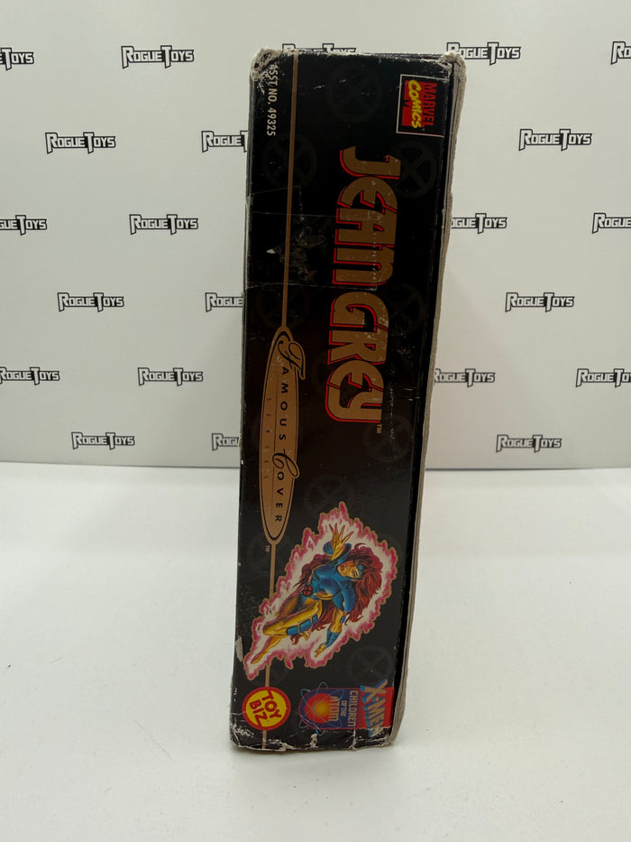 ToyBiz Marvel Comics Famous Lover Series Jean Grey
